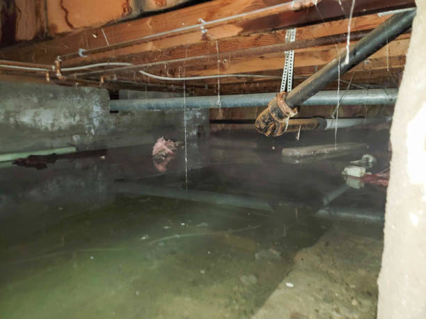 Best Commercial water damage restoration  in North Bellport, NY