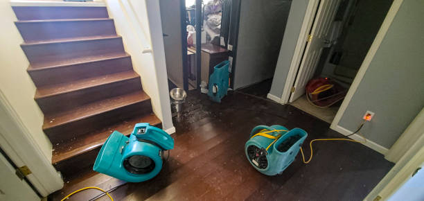 Best Residential water damage restoration  in North Bellport, NY