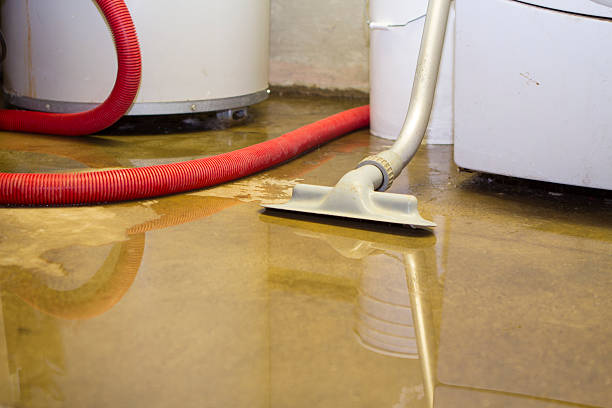 Best Water damage cleanup near me  in North Bellport, NY