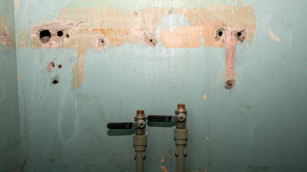 Best Flooded house restoration  in North Bellport, NY