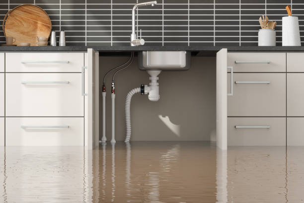 Trusted North Bellport, NY Water damage restoration Experts